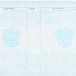 официальный документ для предъявления в учебные заведения