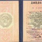 Специалист СССР до 1996 года