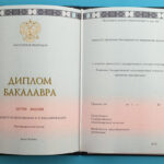 Бакалавр 2014-2024 года