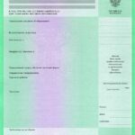 Диплом о неполном образовании