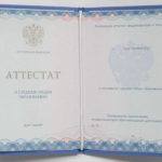 Аттестат 11 классов 2014-2024 года