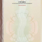 Справка об обучении